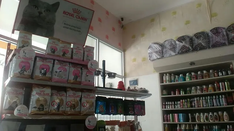 Cahya Petshop: Tempat Peliharaan yang Menghargai Kehidupan di Cilacap
